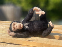 Chico The Chimp | Needle Felting Kit.