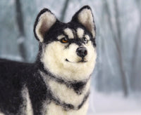 Hunter The Husky  | Needle Felting Kit.