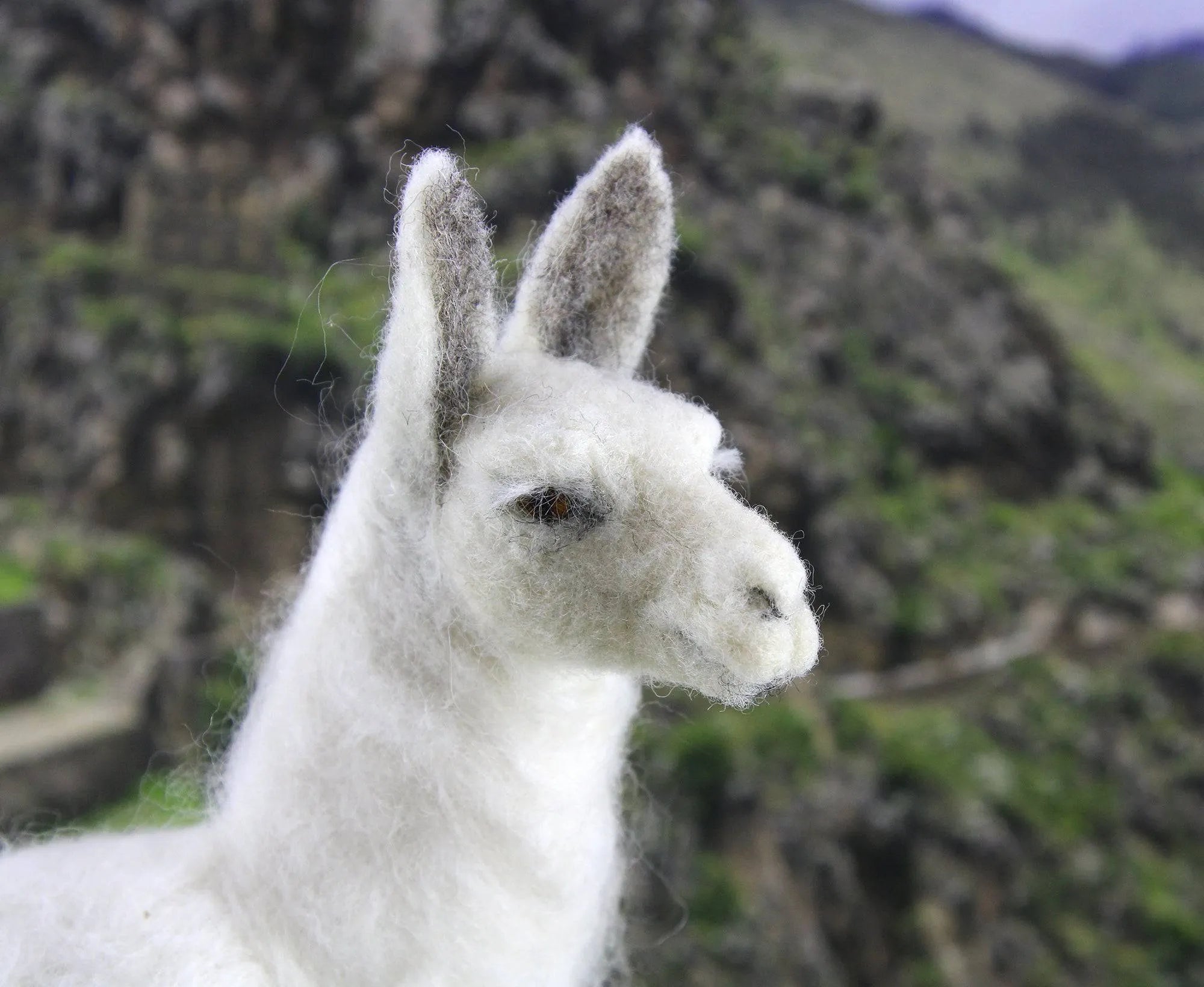 Lennon The Llama  | Needle Felting Kit.