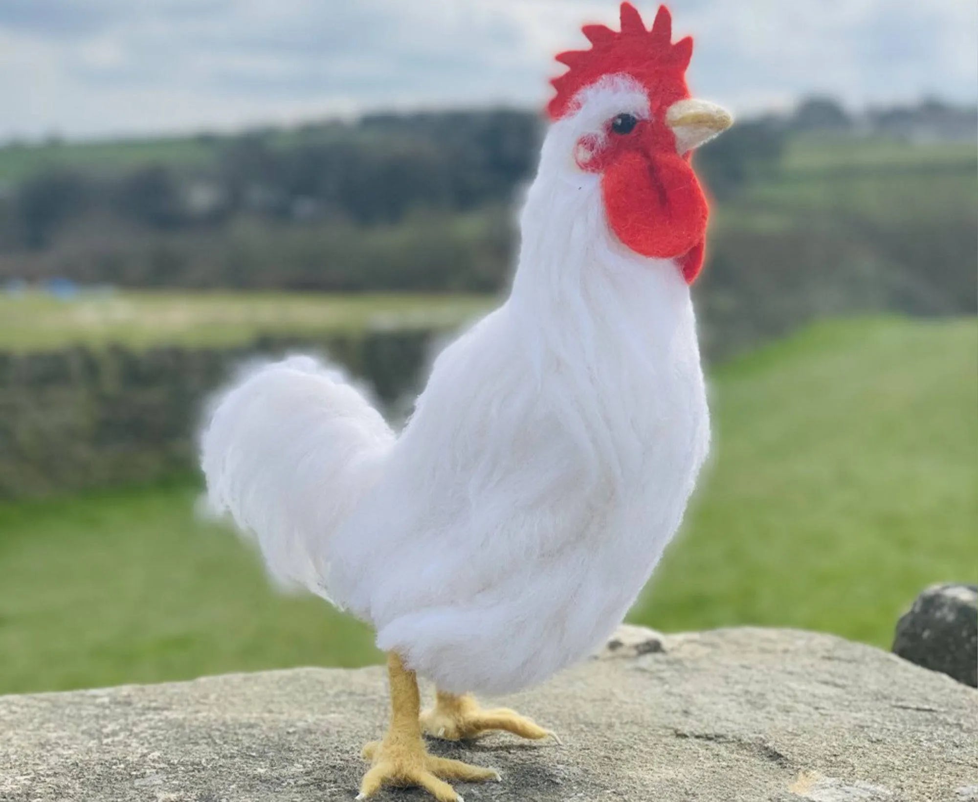 Reggie The Rooster | Needle Felting Kit.