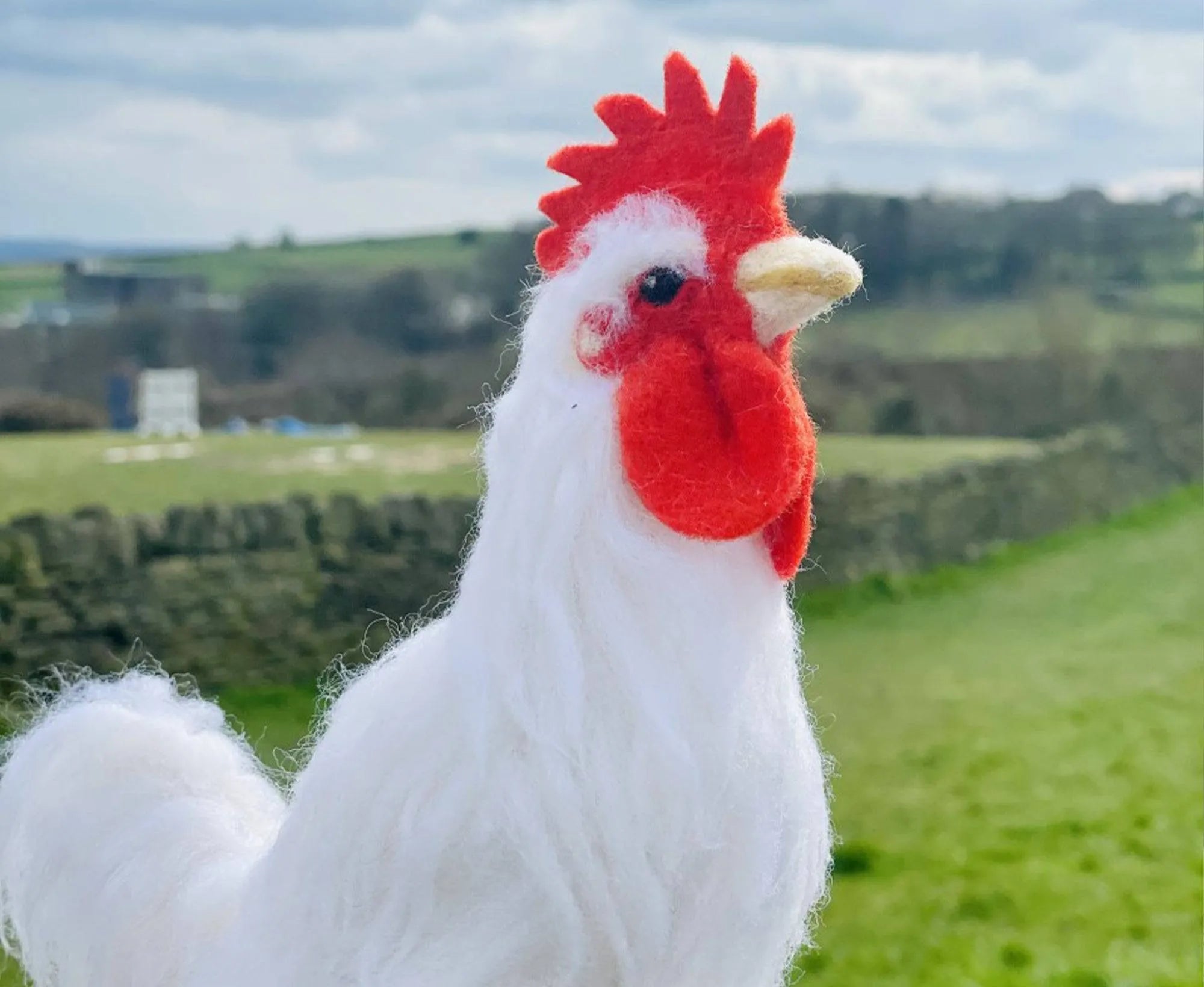 Reggie The Rooster | Needle Felting Kit.