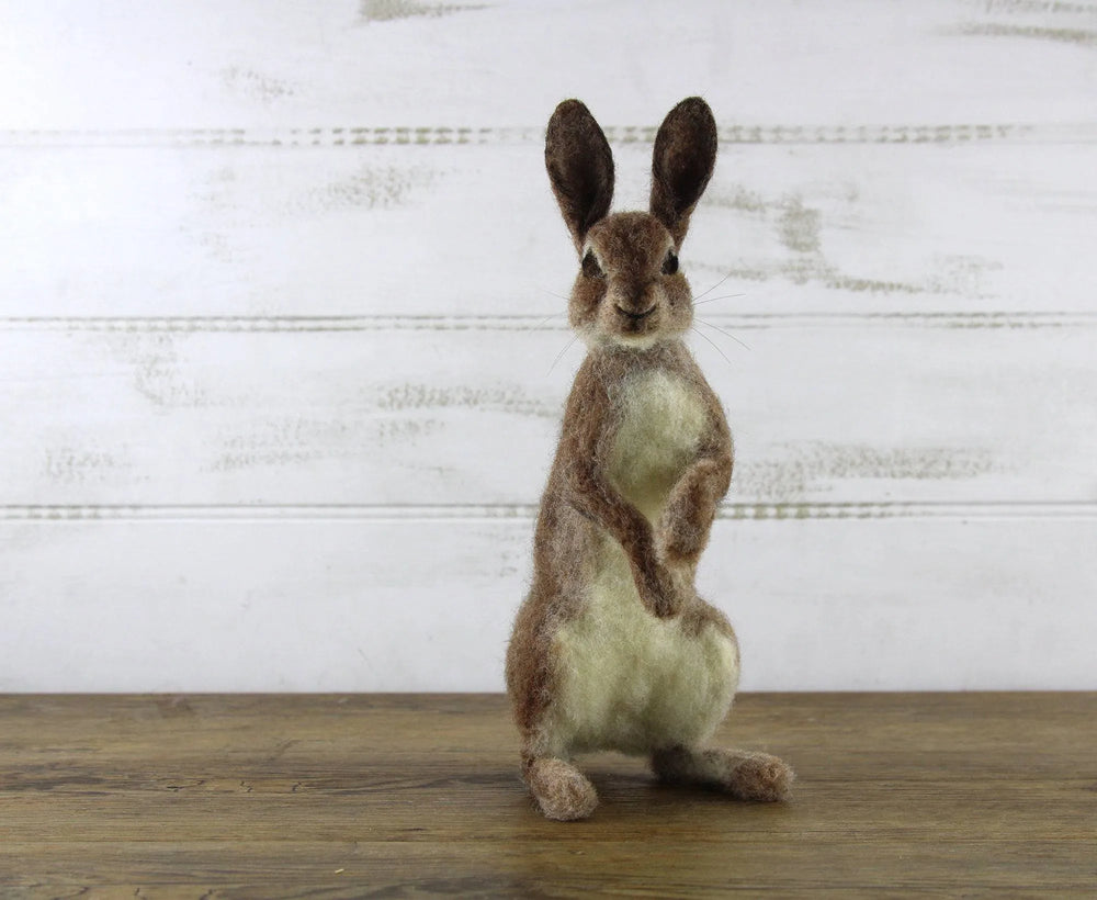 Romeo The Rabbit | Needle Felting Kit.