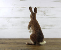Romeo The Rabbit | Needle Felting Kit.