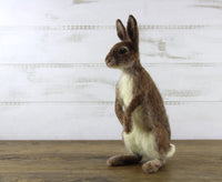 Romeo The Rabbit | Needle Felting Kit.