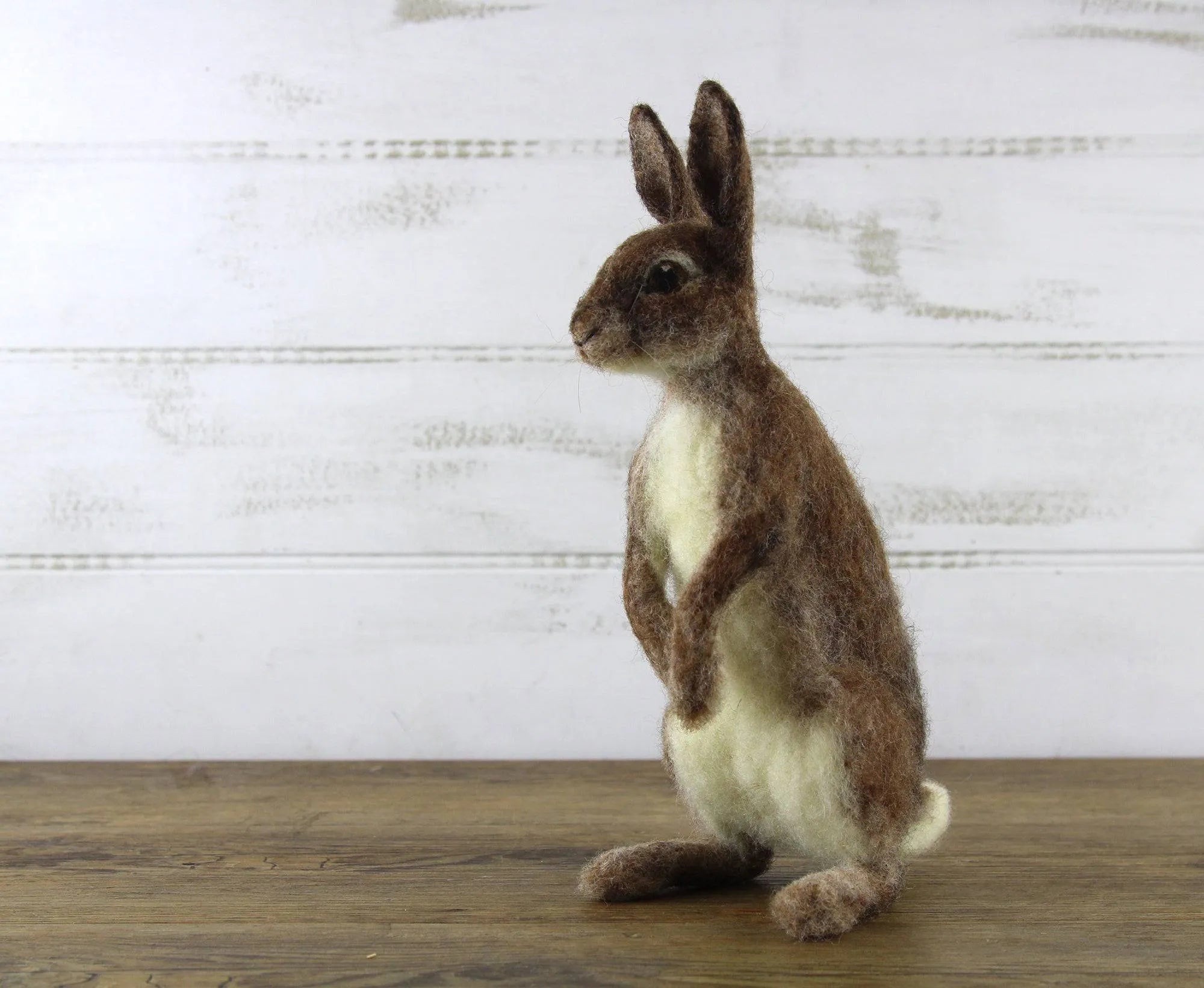 Romeo The Rabbit | Needle Felting Kit.