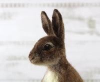Romeo The Rabbit | Needle Felting Kit.