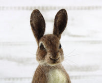 Romeo The Rabbit | Needle Felting Kit.