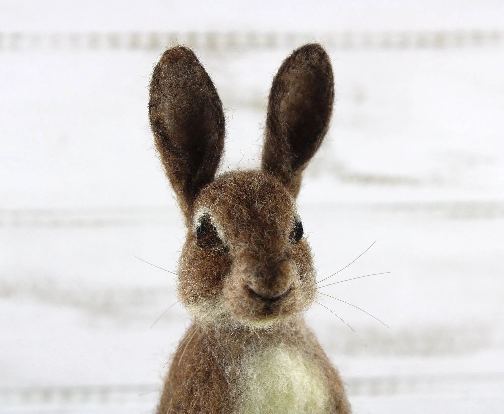 Romeo The Rabbit | Needle Felting Kit.