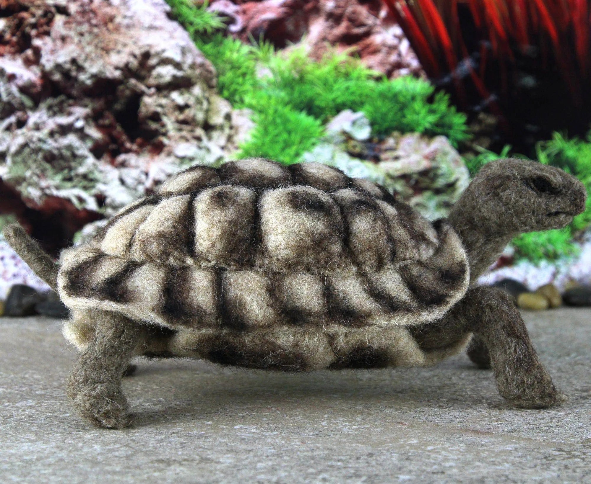 Toto The Tortoise | Needle Felting Kit.