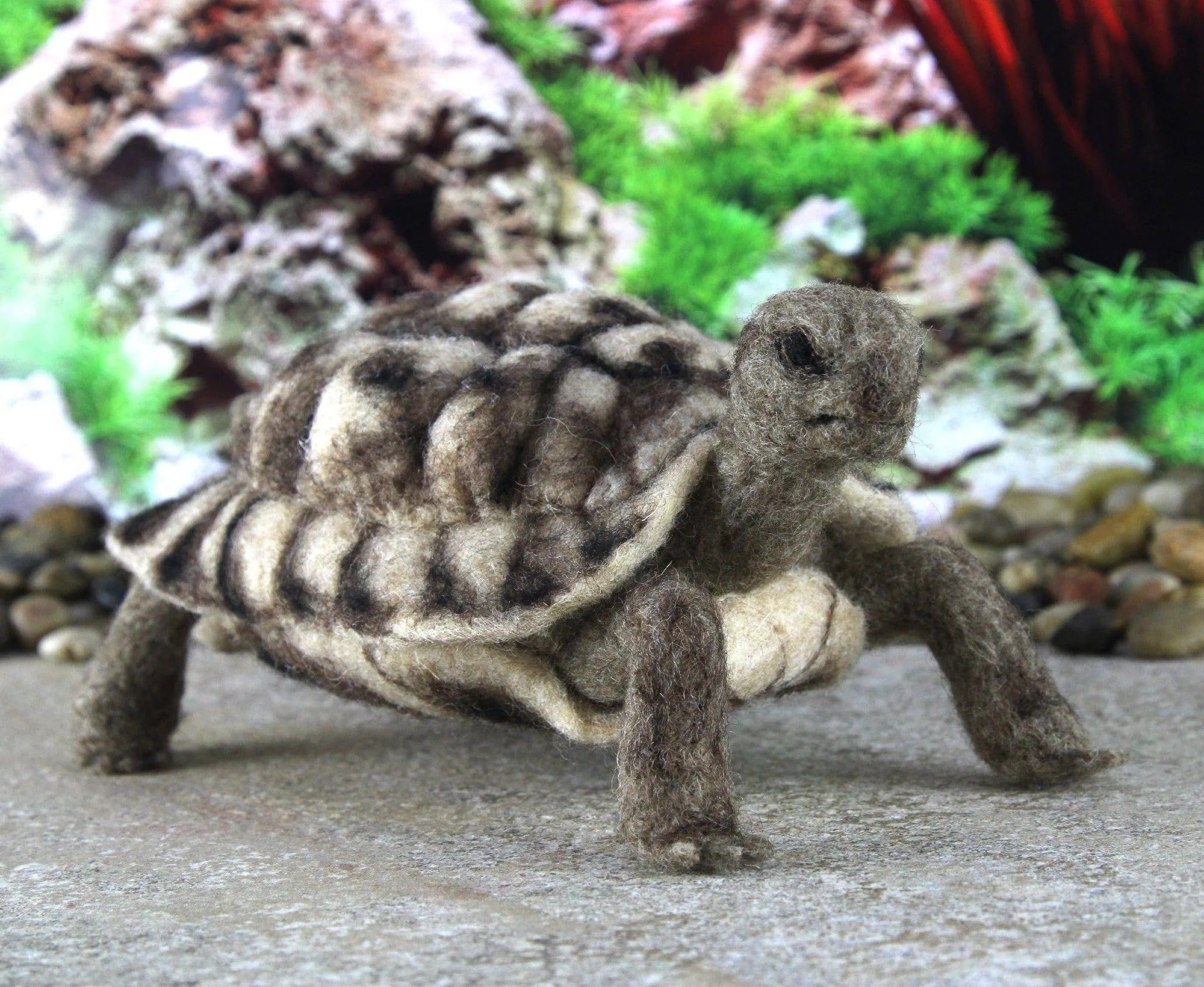 Toto The Tortoise | Needle Felting Kit.