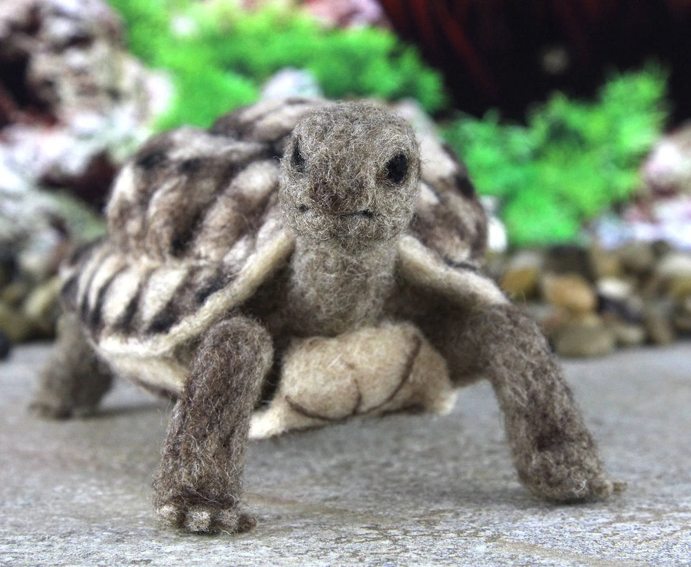 Toto The Tortoise | Needle Felting Kit.