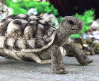 Toto The Tortoise | Needle Felting Kit.