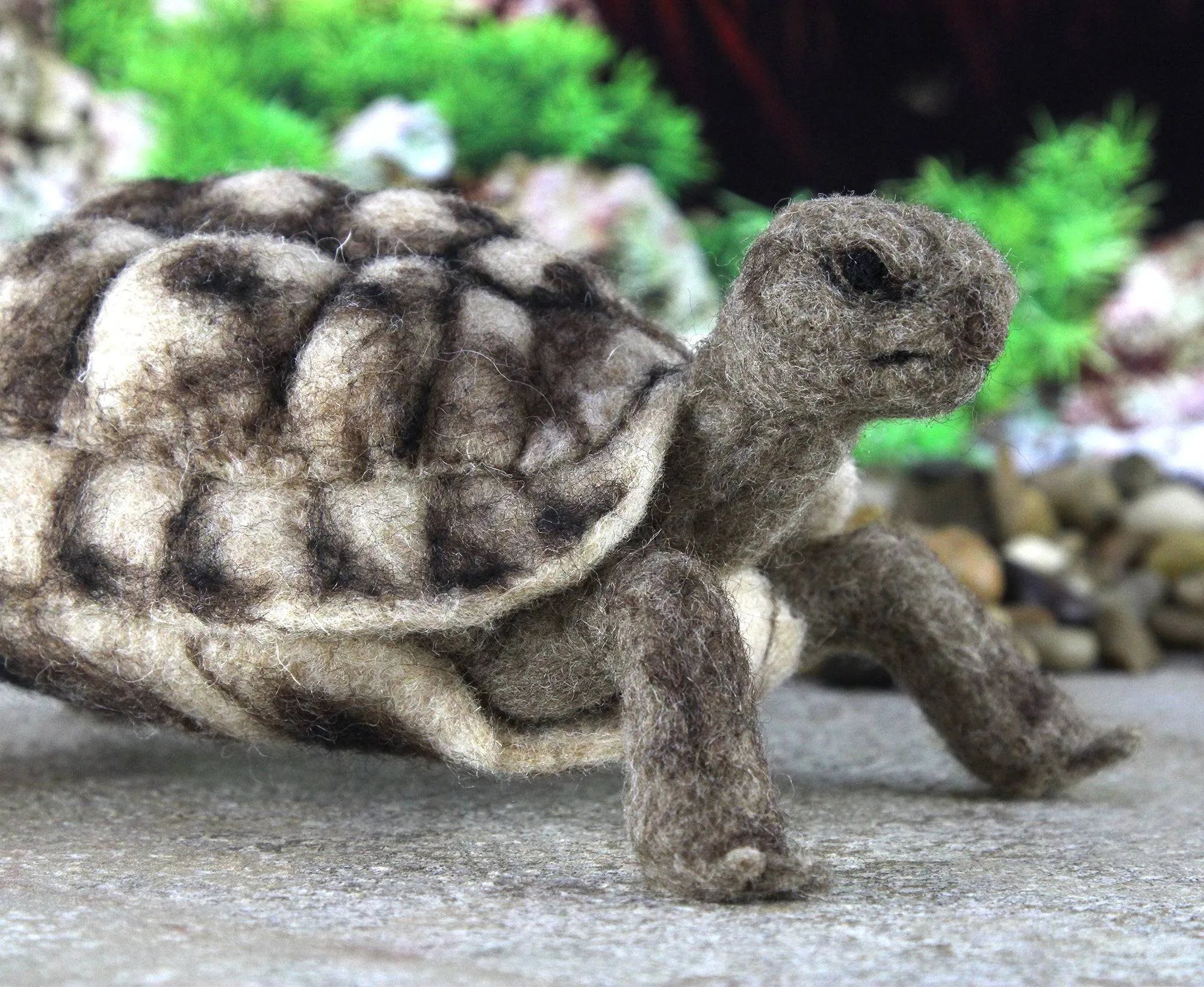 Toto The Tortoise | Needle Felting Kit.