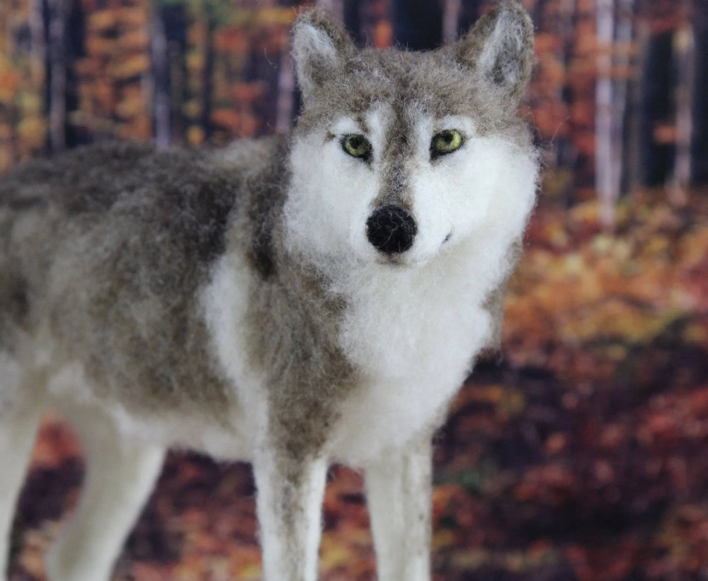 Winston The Wolf  | Needle Felting Kit.