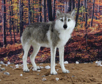 Winston The Wolf  | Needle Felting Kit.