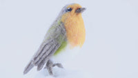 Robyn The Robin | Needle Felting Kit.