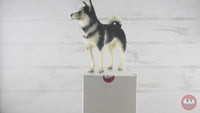 Hunter The Husky  | Needle Felting Kit.