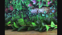 Connie The Chameleon | Needle Felting Kit.