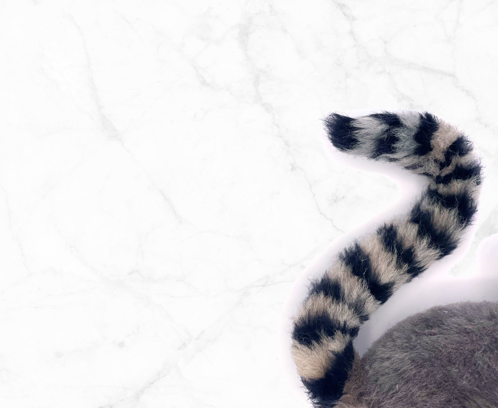 Layla The Lemur | Artisan Needle Felting Kit