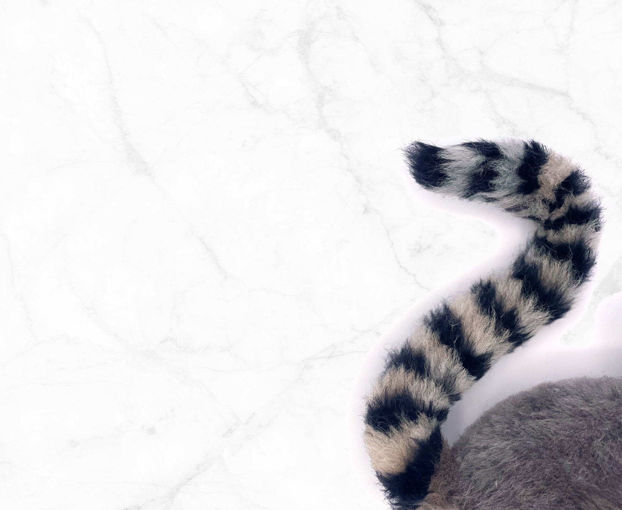 Layla The Lemur | Artisan Needle Felting Kit.