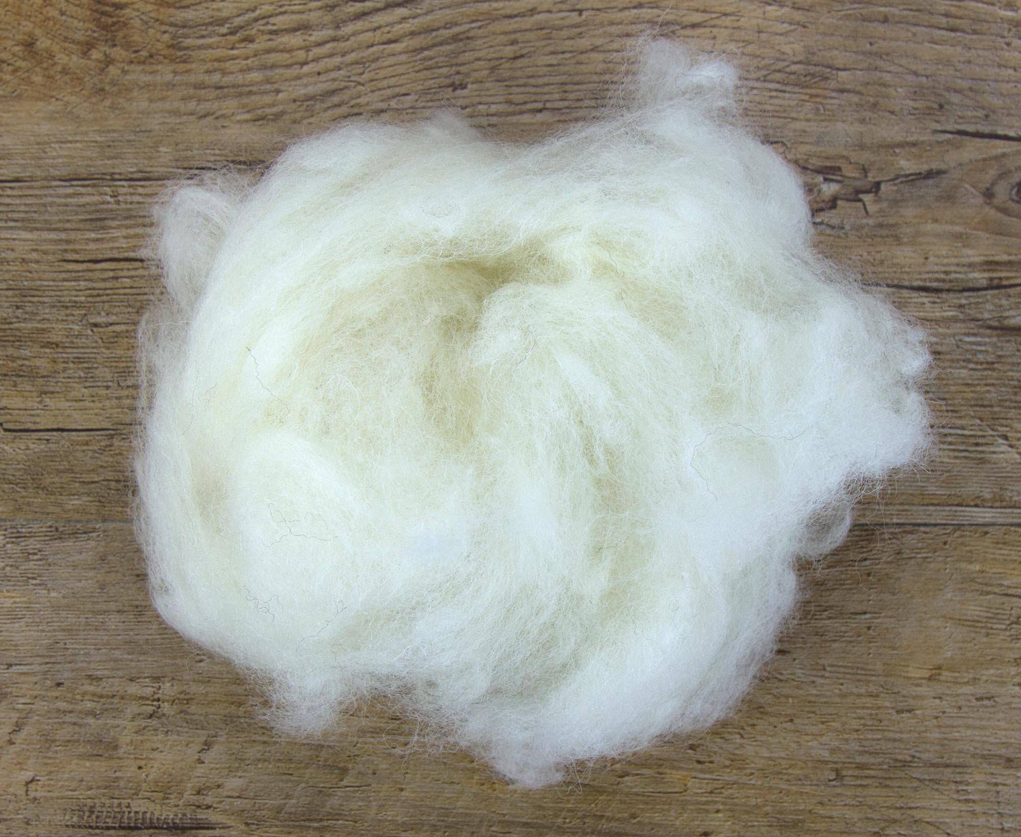 Carded White Lambswool - World of Wool