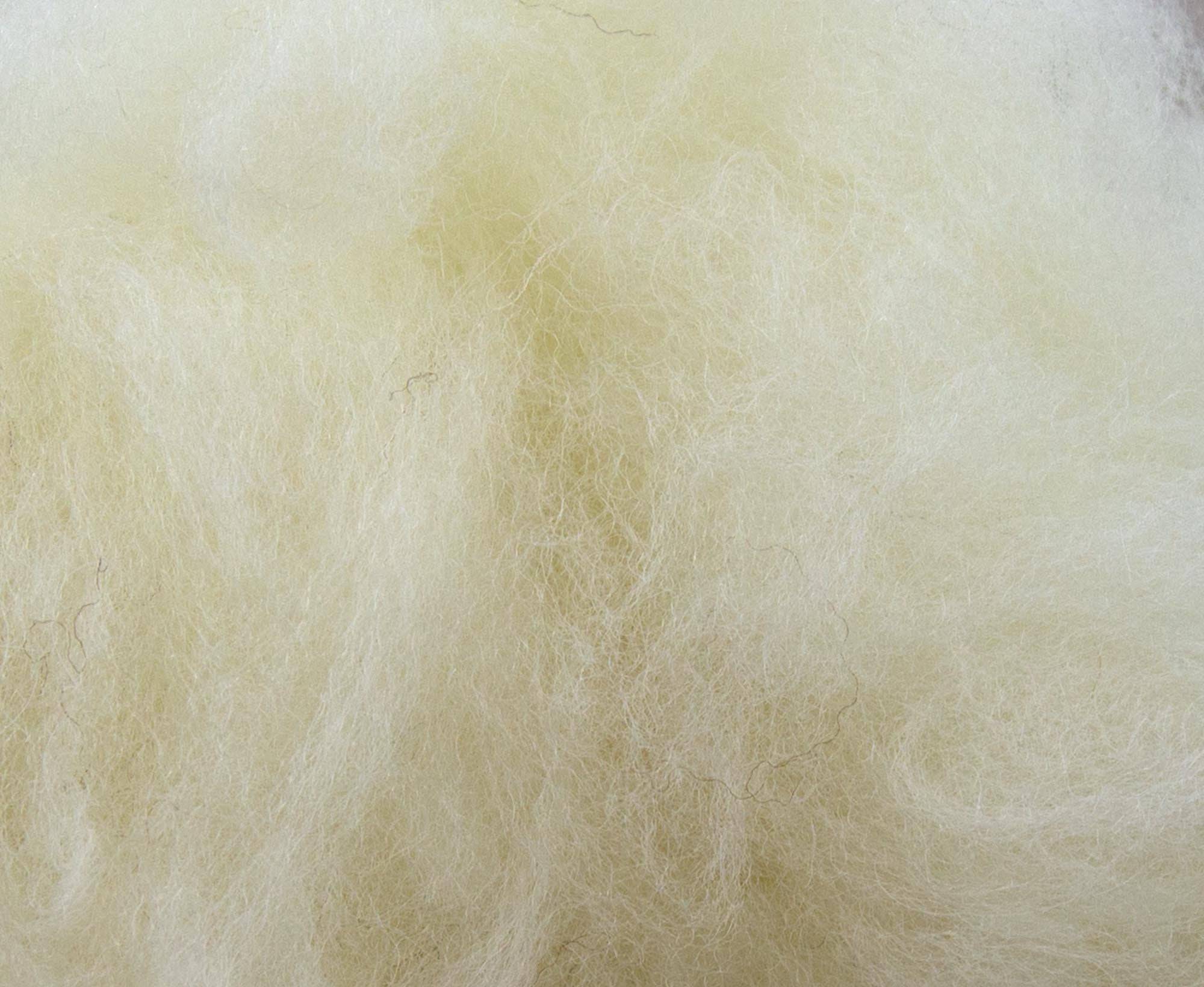 Carded White Lambswool - World of Wool