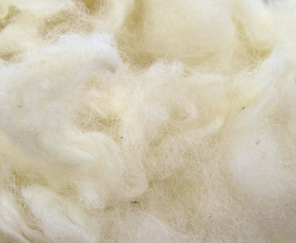Lambswool Filling – World Of Wool