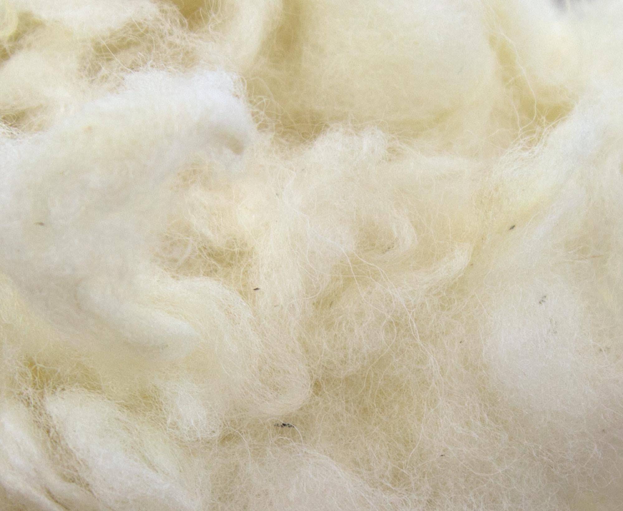 Scoured White Lambswool.
