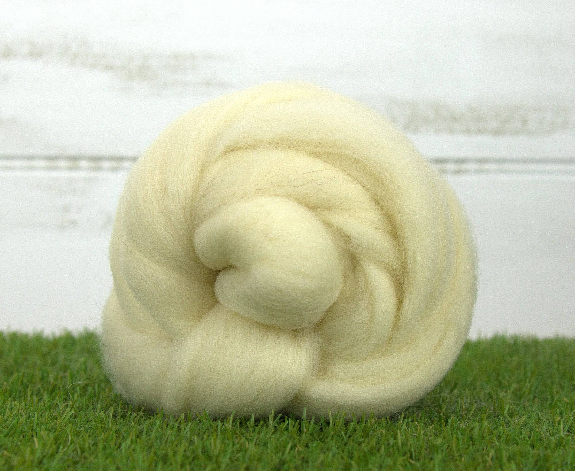 Charollais Top - World of Wool
