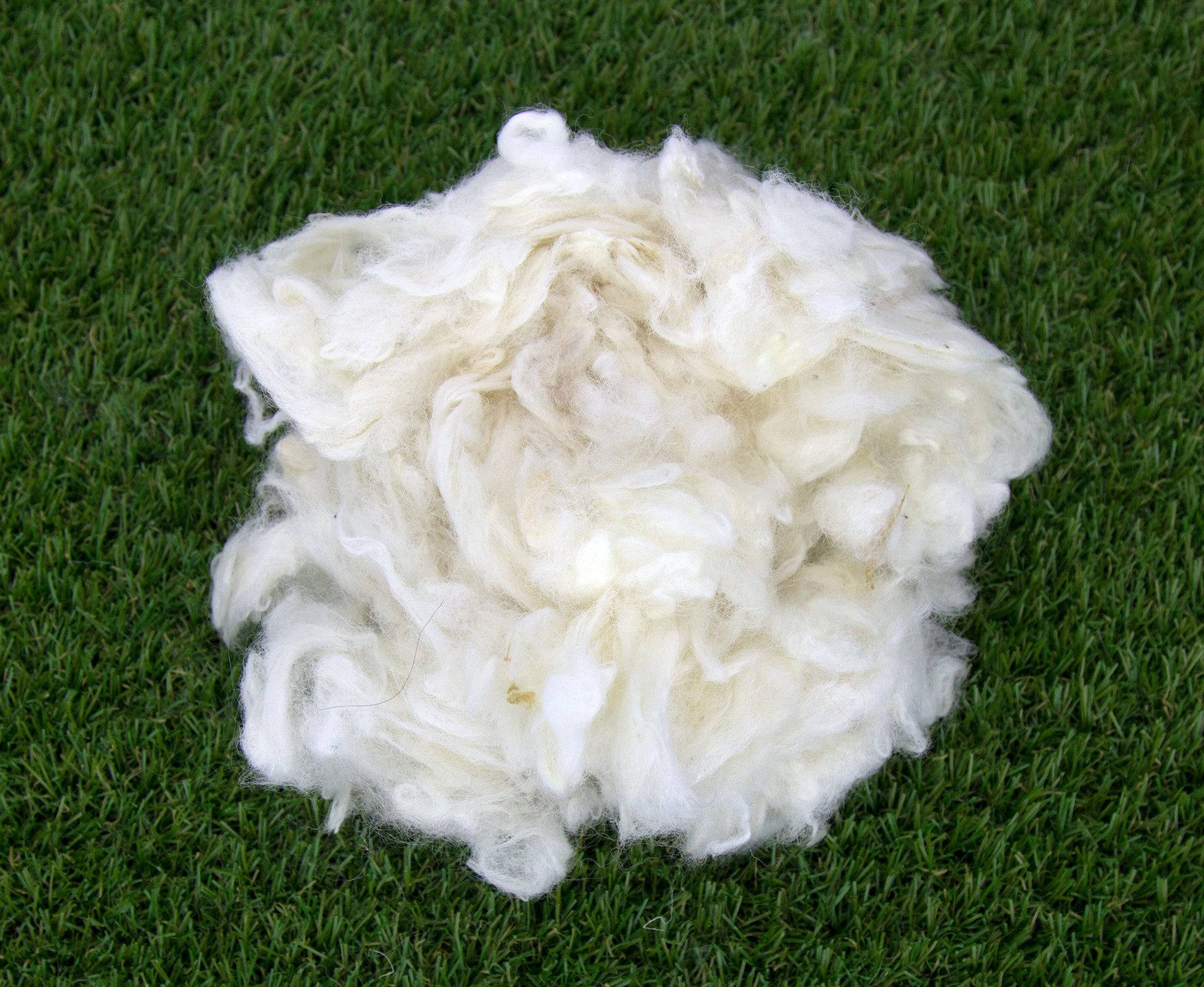 Scoured Corriedale Lambswool - World of Wool