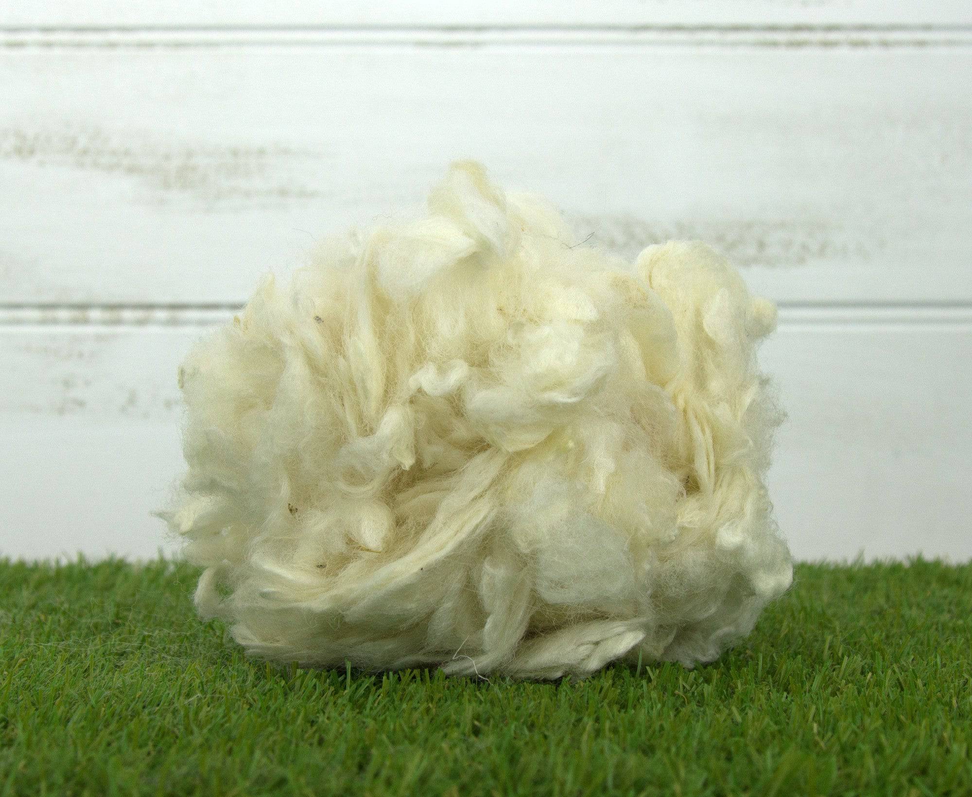 Scoured Corriedale Lambswool - World of Wool