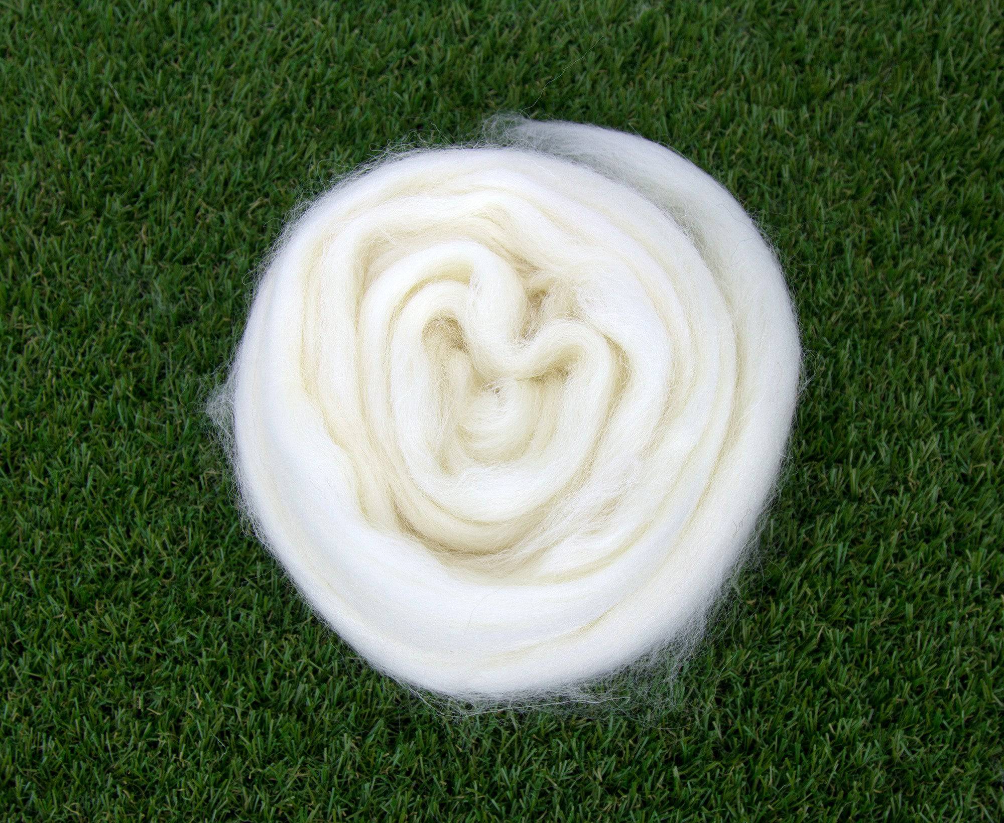 White Cheviot Top Superwashed - World of Wool