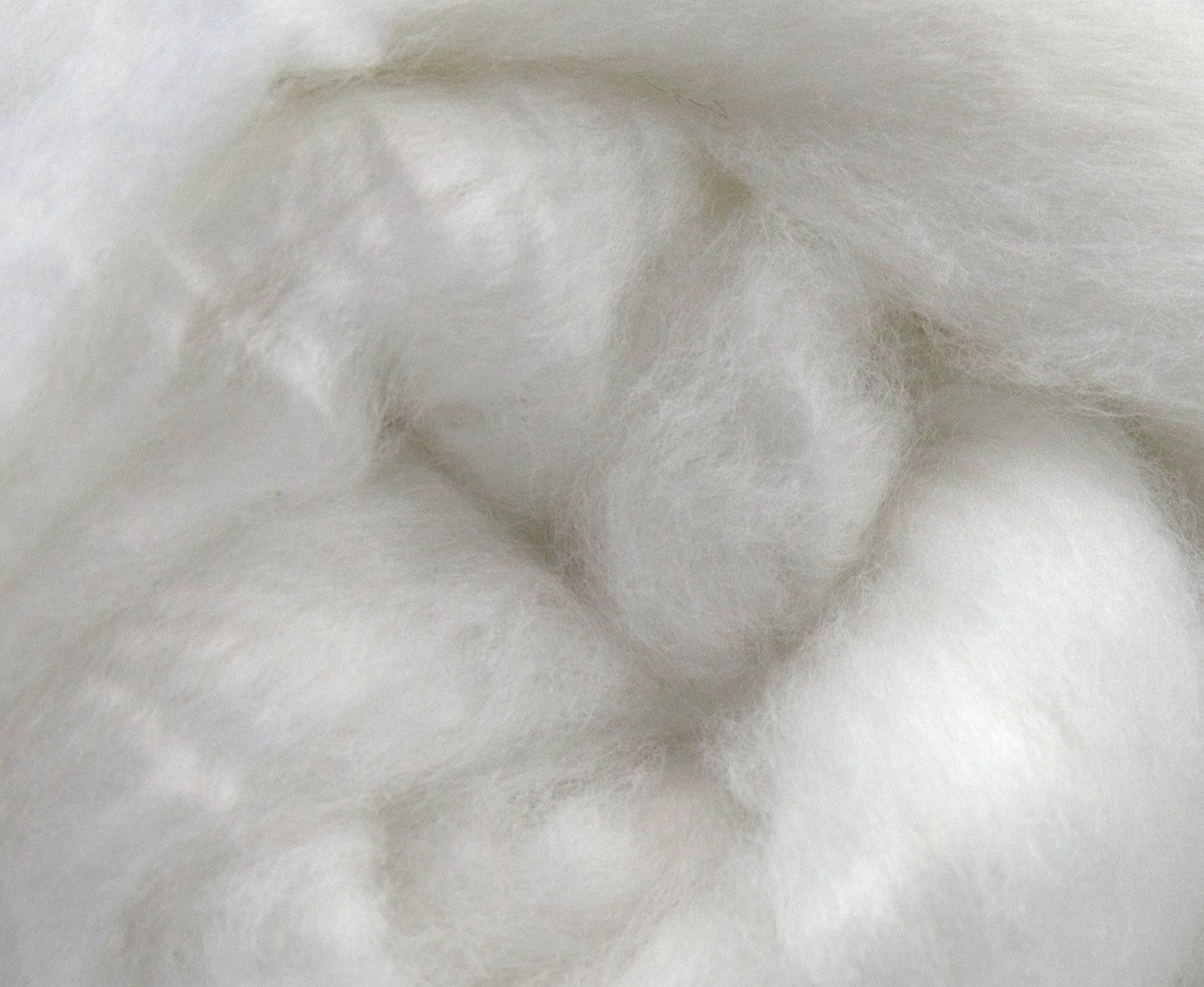 Pearl Fibre Top - World of Wool