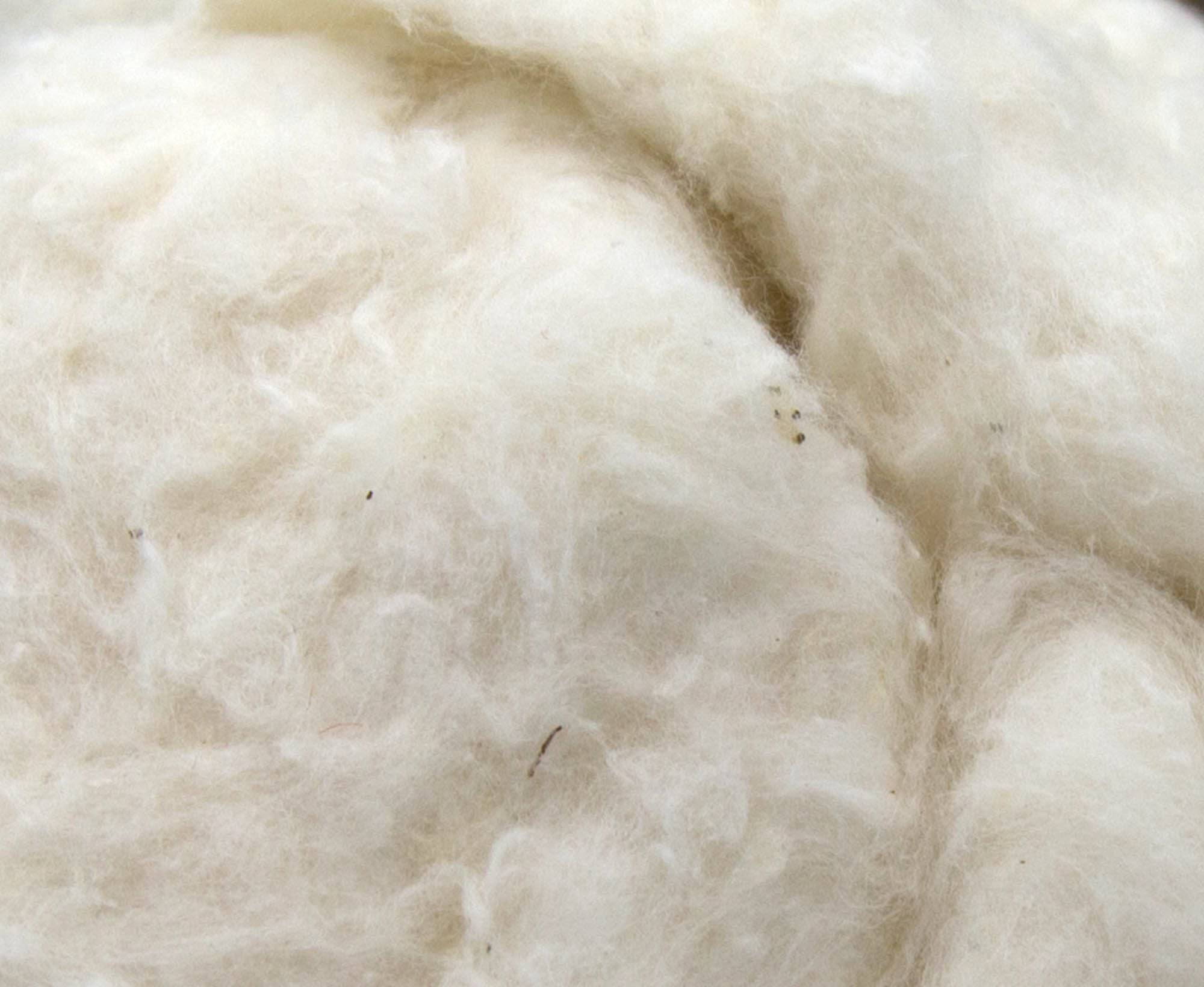 White Egyptian Cotton Fibre.
