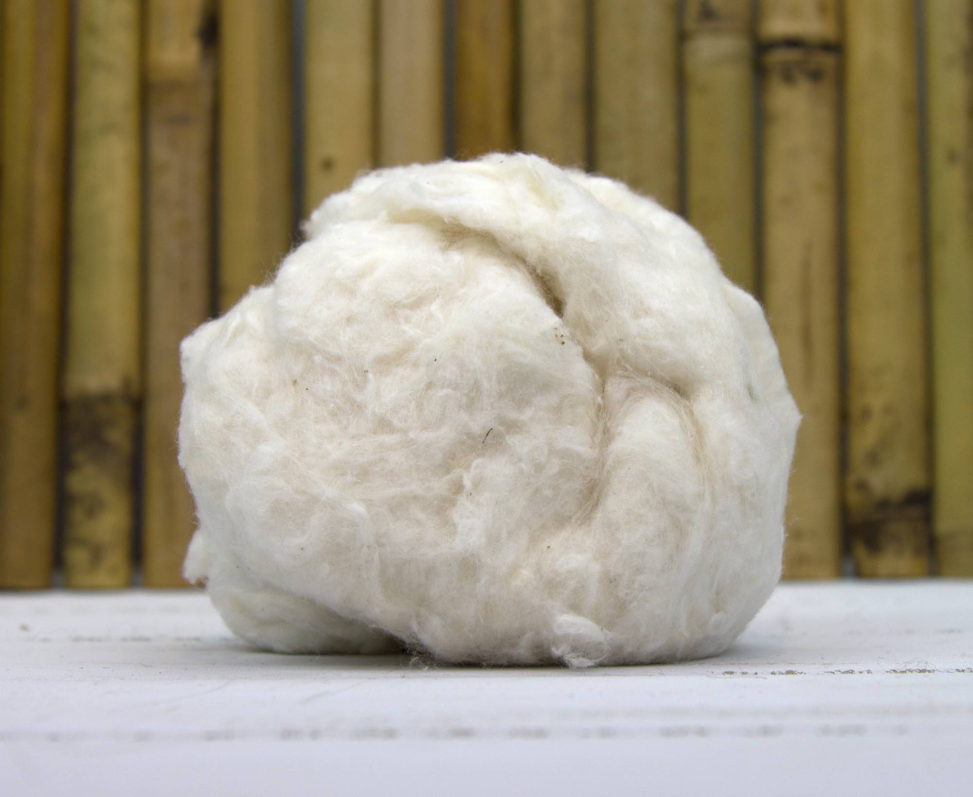 White Egyptian Cotton Fibre.