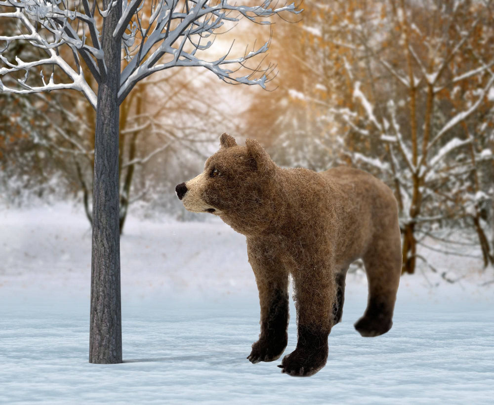 Bruno The Bear | Needle Felting Kit.