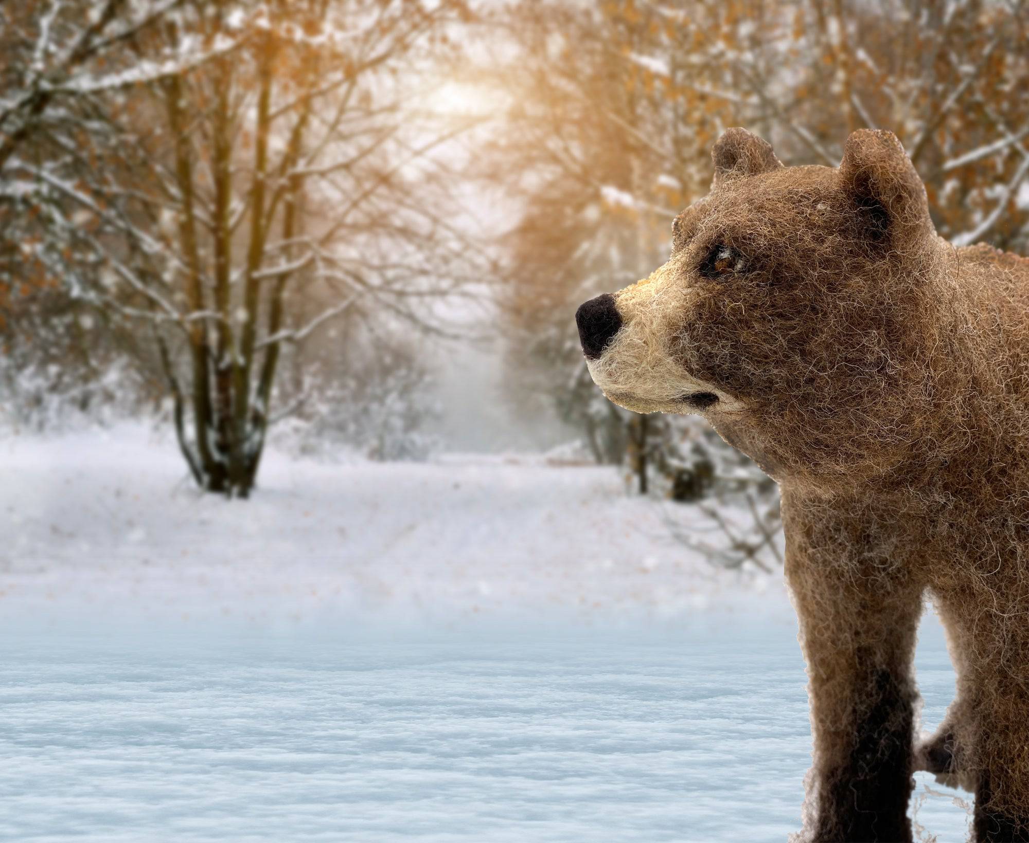 Bruno The Bear | Needle Felting Kit.
