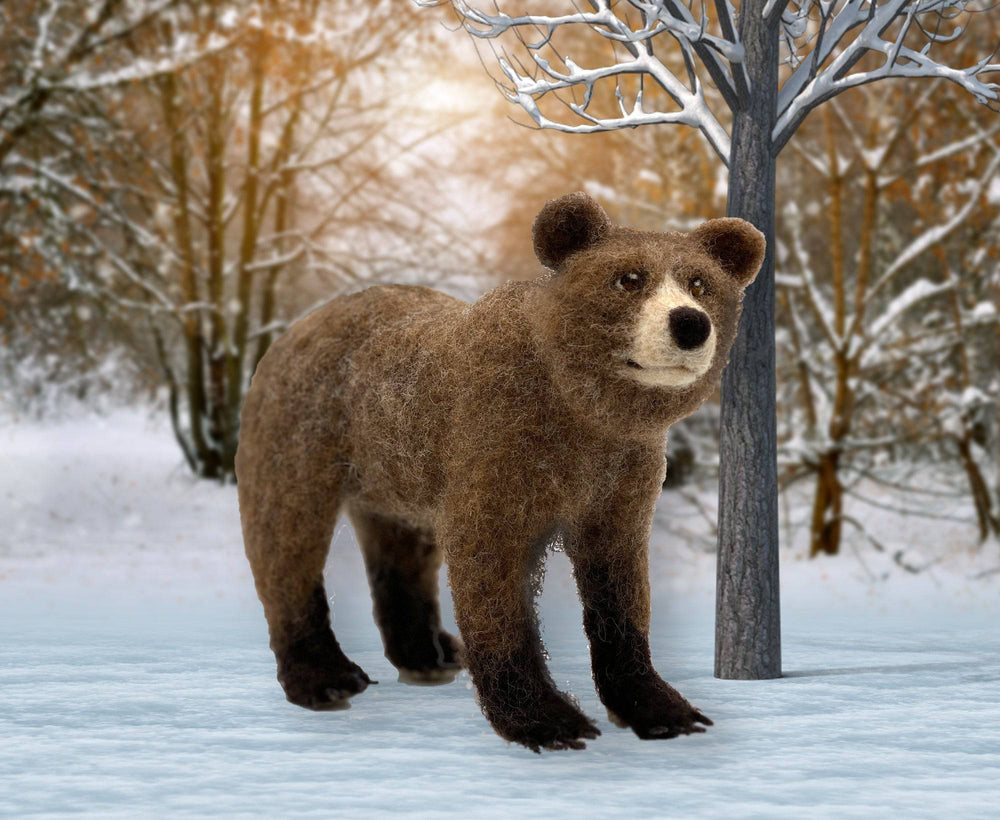 Bruno The Bear | Needle Felting Kit.