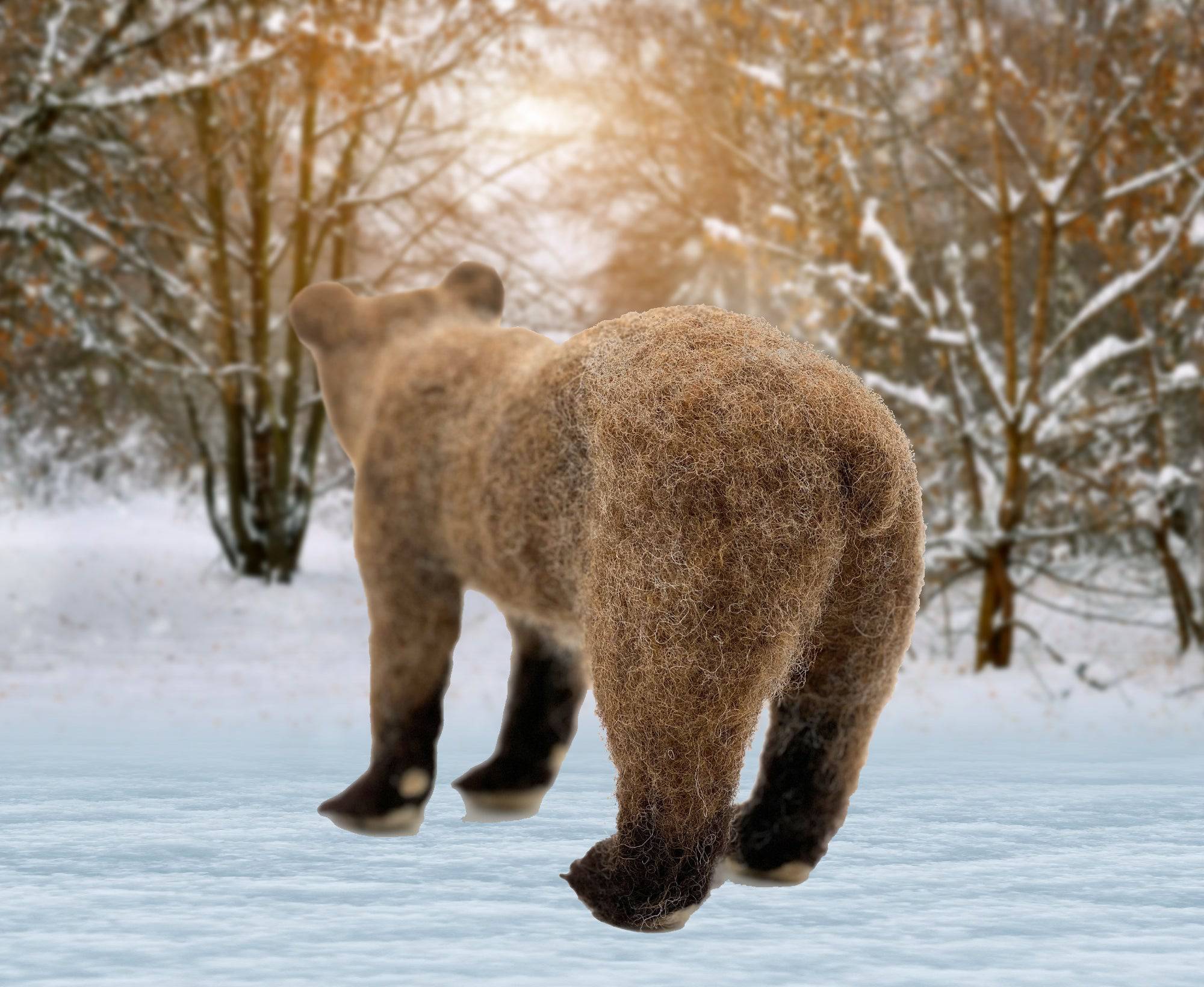 Bruno The Bear | Needle Felting Kit.