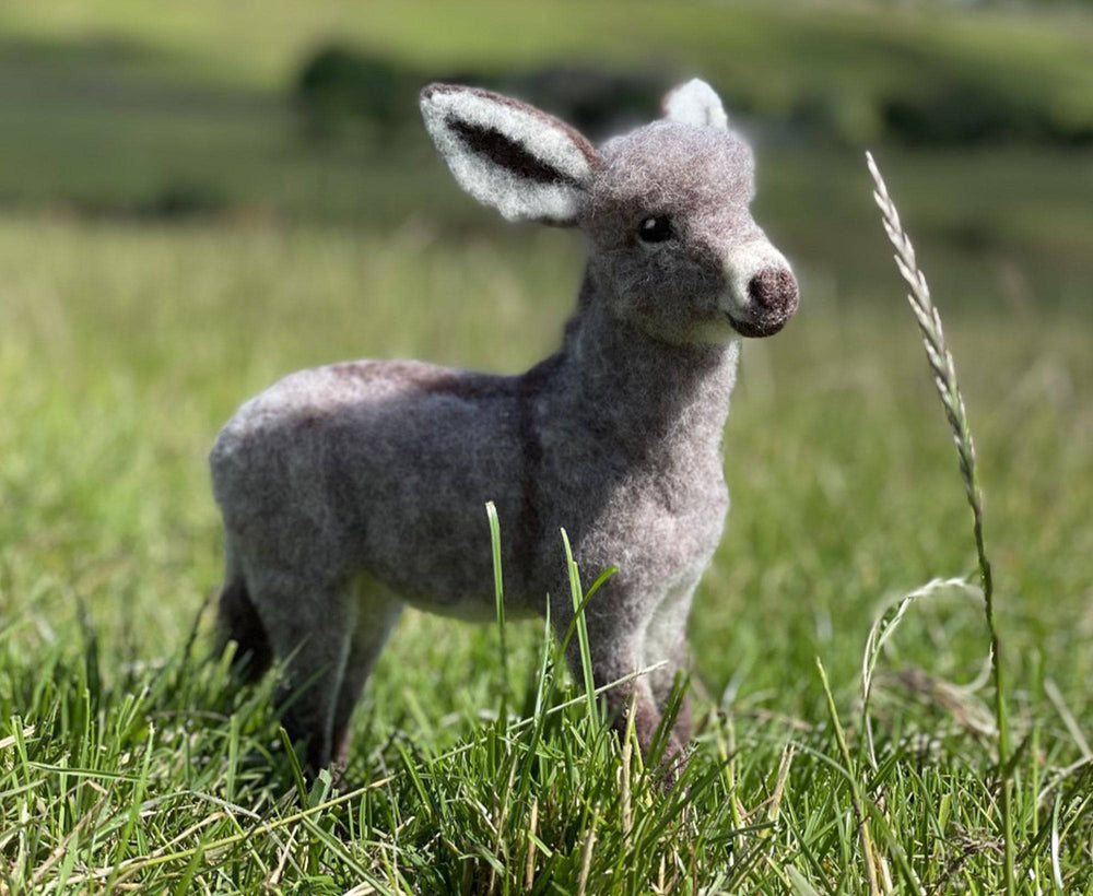 Diego The Donkey | Needle Felting Kit - World of Wool