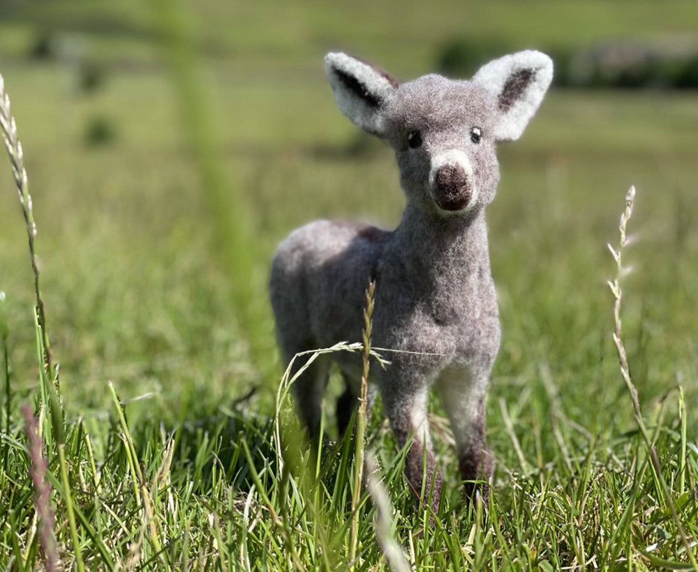 Diego The Donkey | Needle Felting Kit - World of Wool