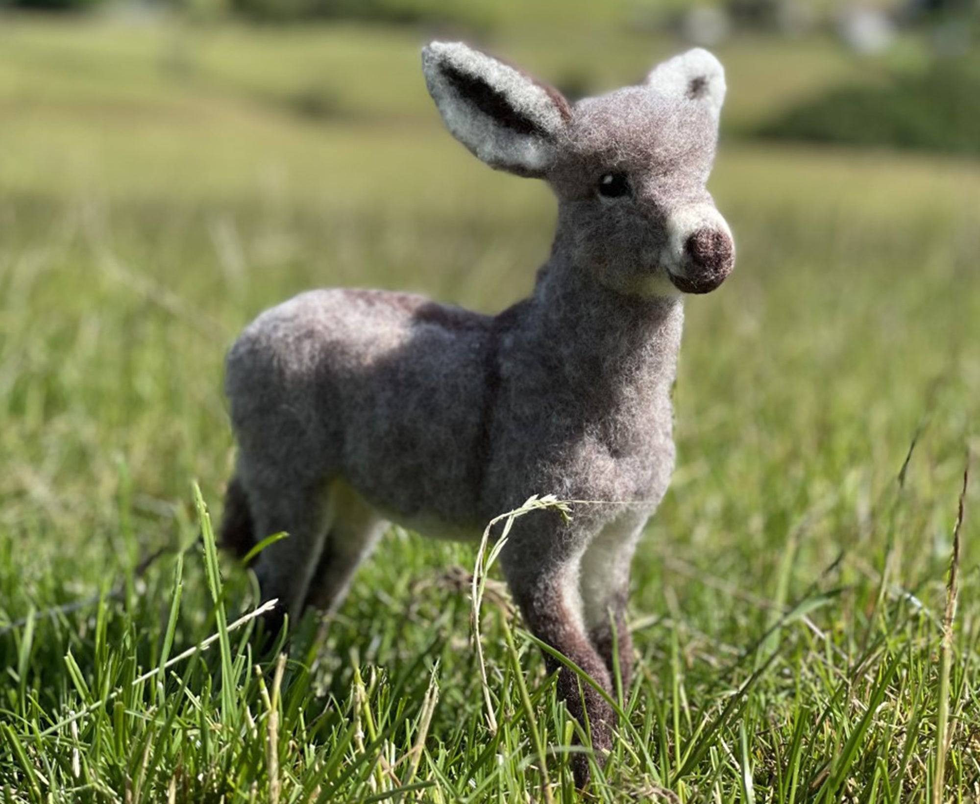 Diego The Donkey | Needle Felting Kit.