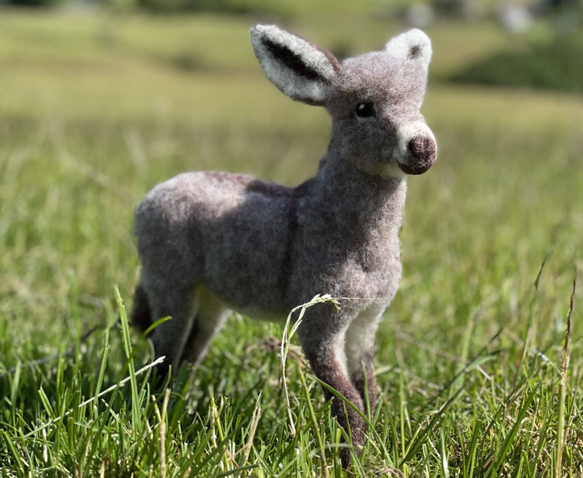 Diego The Donkey | Needle Felting Kit - World of Wool