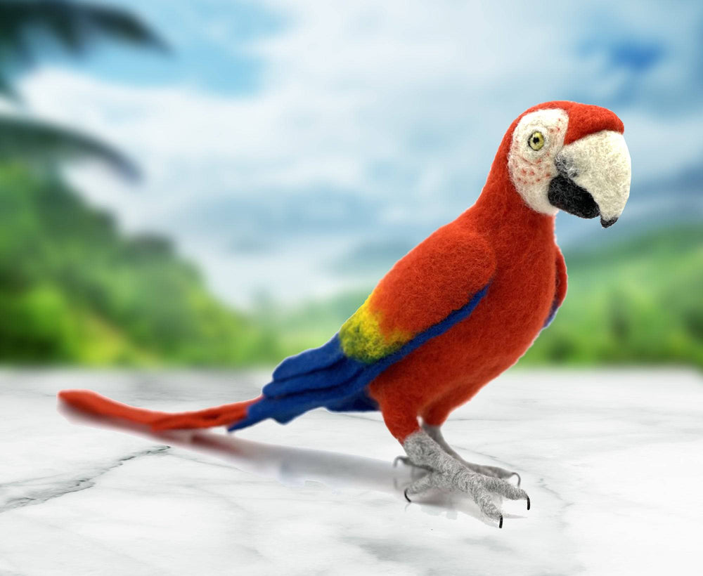 Pablo The Parrot | Needle Felting Kit.