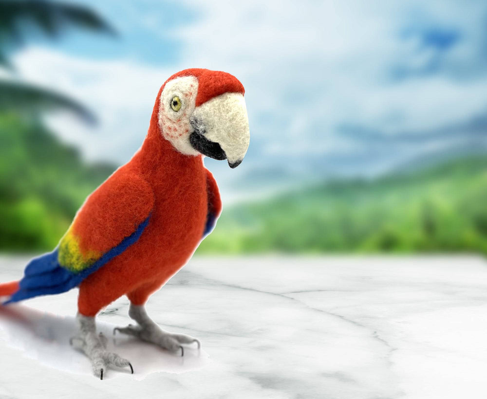 Pablo The Parrot | Needle Felting Kit.