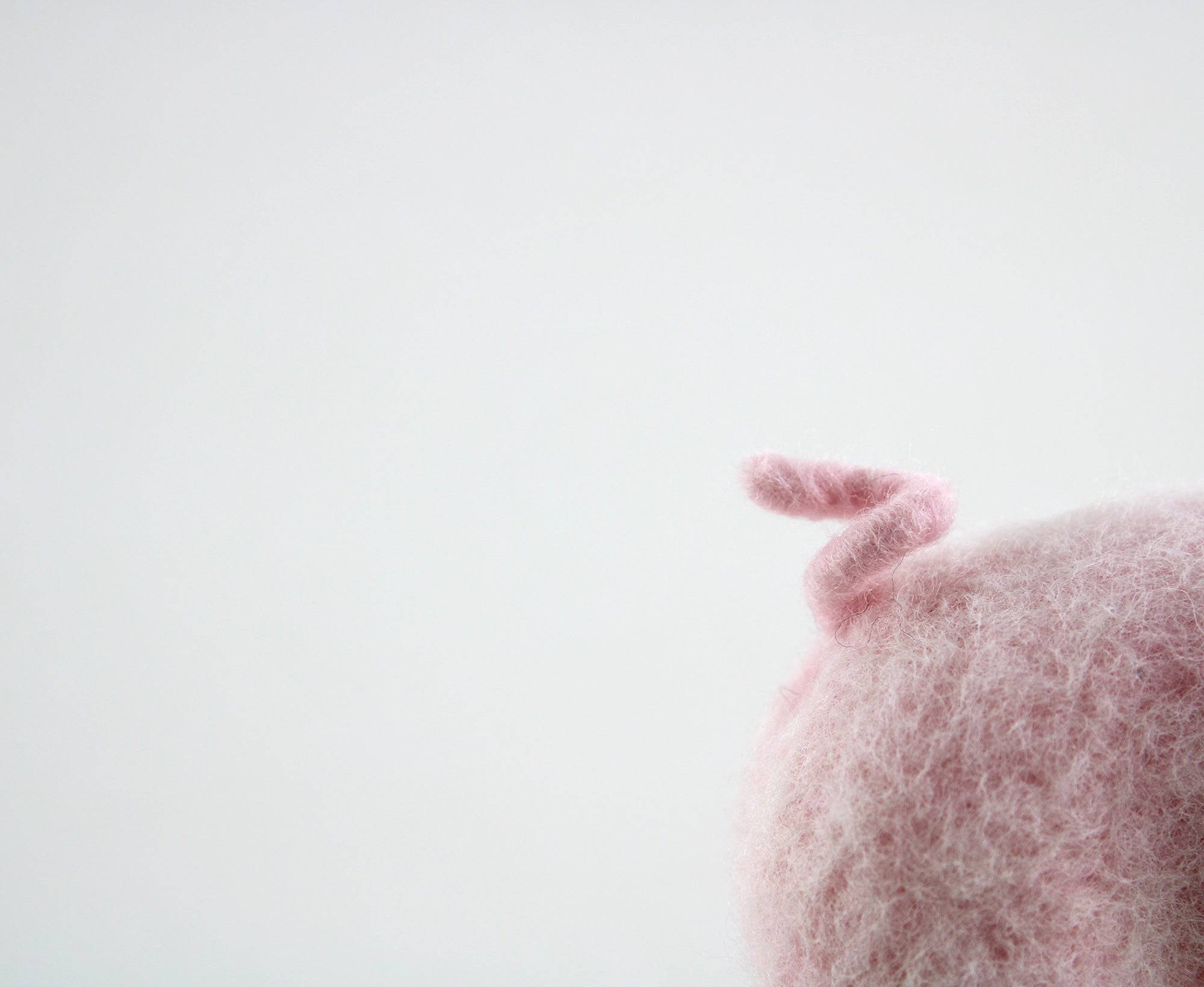 Pippin The Pig | Needle Felting Kit.
