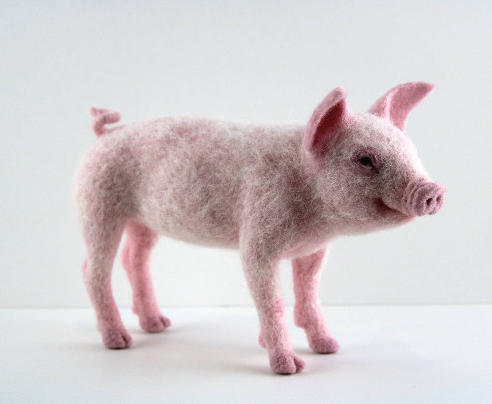 Pippin The Pig | Needle Felting Kit.