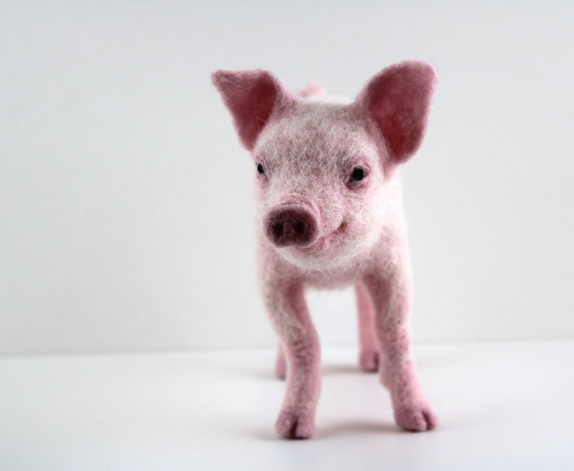 Pippin The Pig | Needle Felting Kit - World of Wool