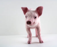 Pippin The Pig | Needle Felting Kit.