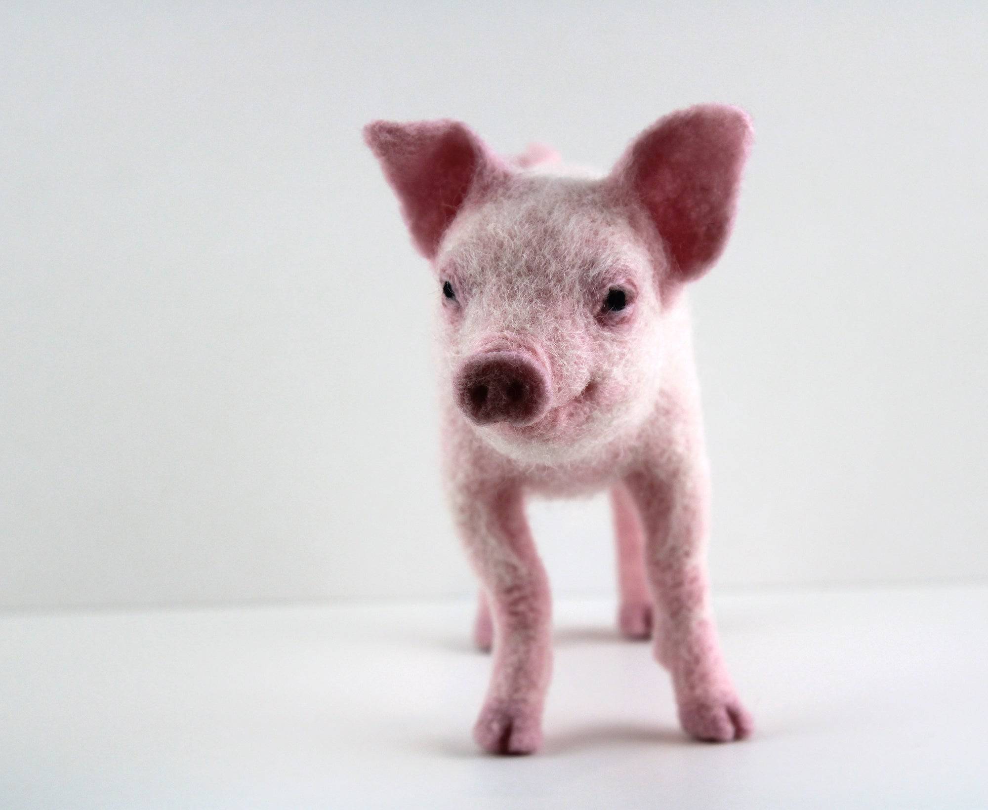 Pippin The Pig | Needle Felting Kit.